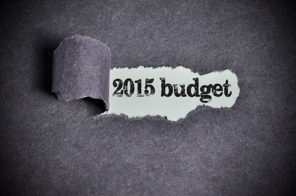 government-budget-budget-2015-1024x680.jpg