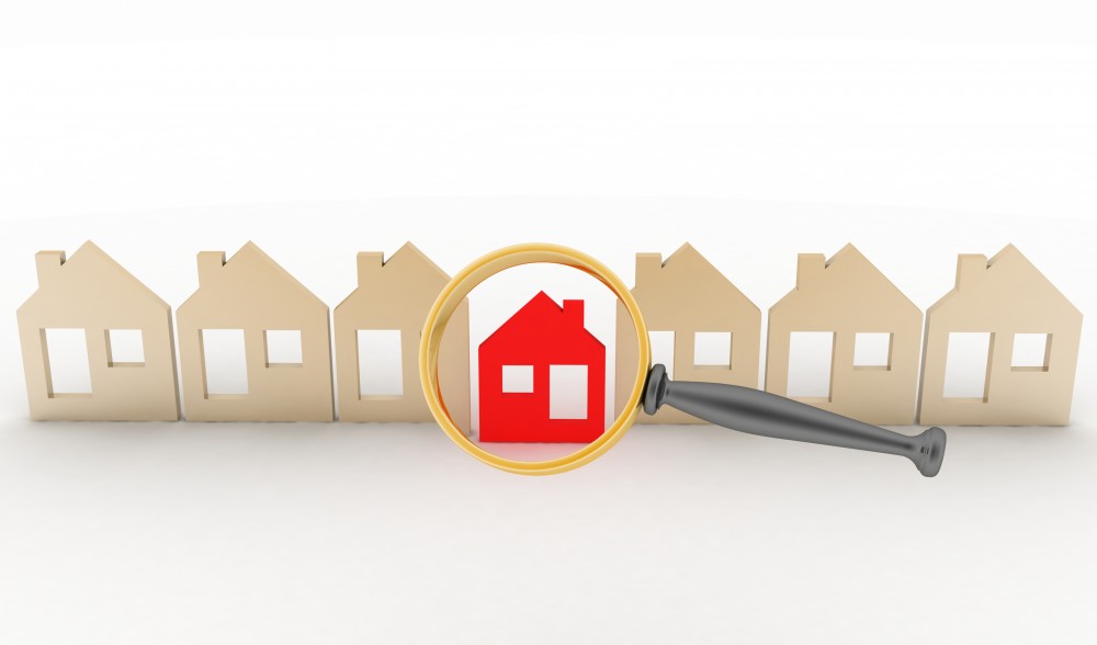 What are property searches and why do I need them?