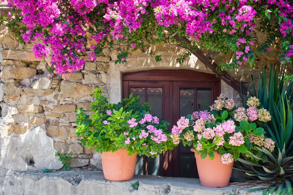 Italian-house-home-garden-Italy-re-sized-1024x682.jpg