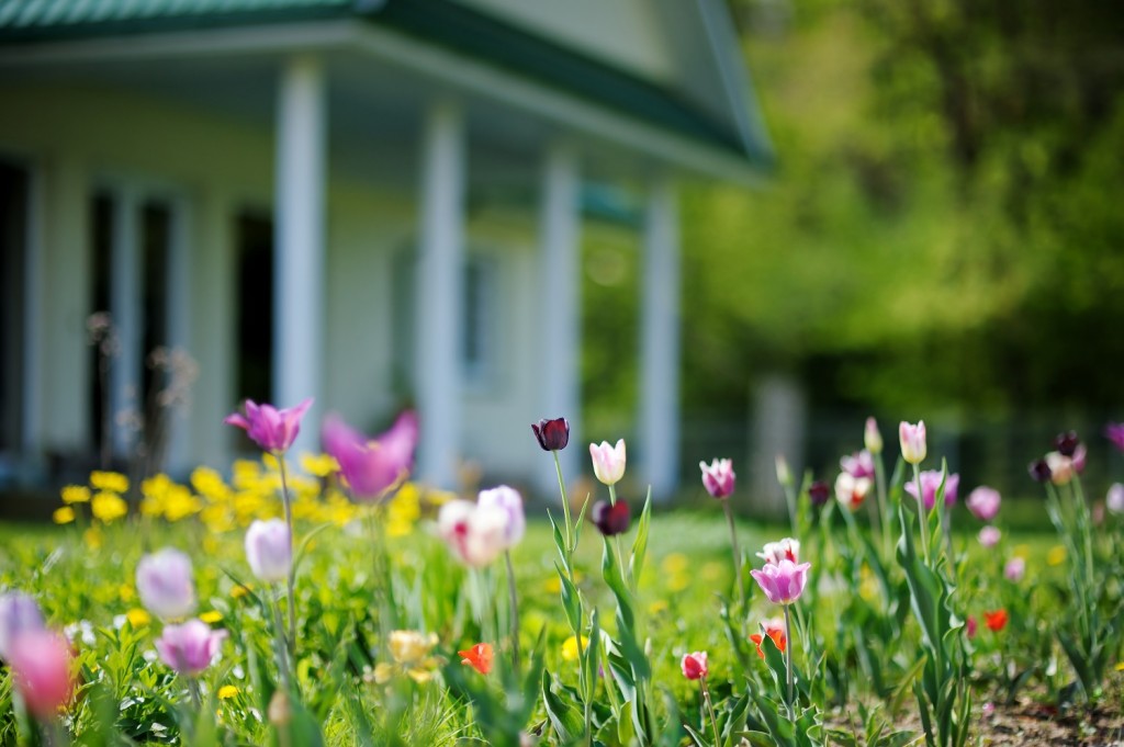 Garden-dream-home-house-flowers-re-sized-1024x681.jpg