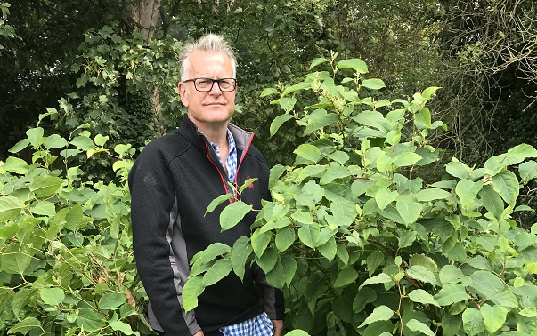 Warning As Homeowner Discovers New Breed Of Invasive Knotweed