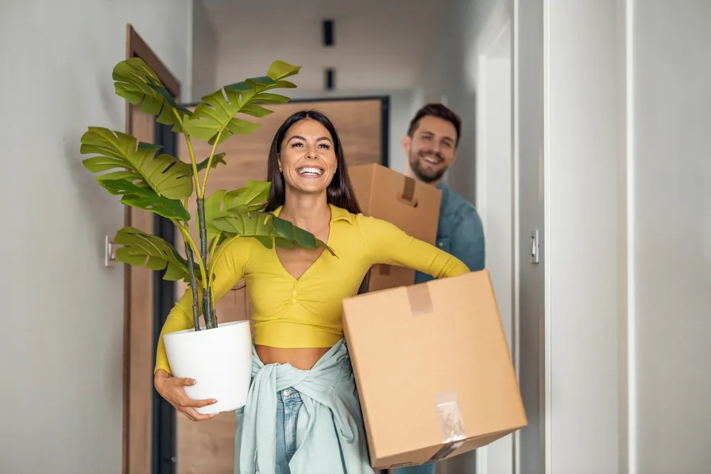 August-2024-feature-moving-house-removals-cost-tips.webp