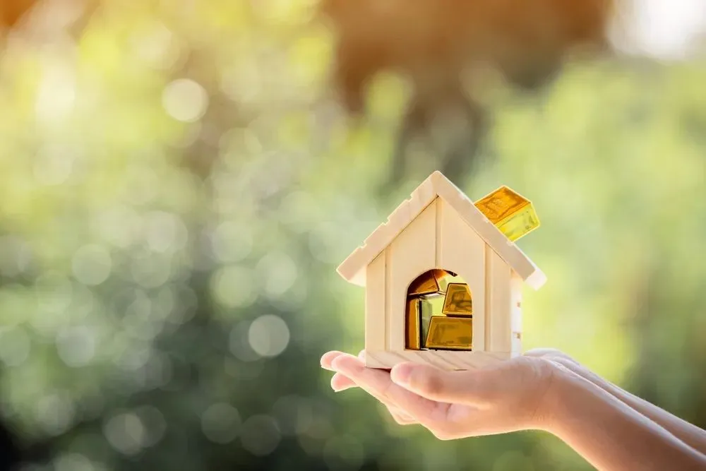 equity-release-money-in-home-value-maximum-loan-investment-interest.webp