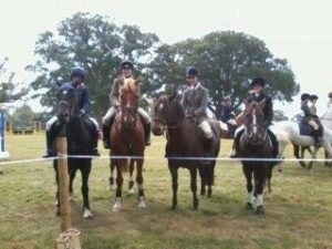 Wellington School Showjumping Competition Horses