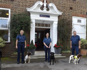 Epsom College Sniffer Dogs