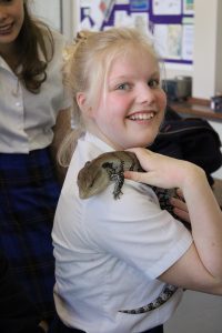 Year 8 with Blue Tongued Skink