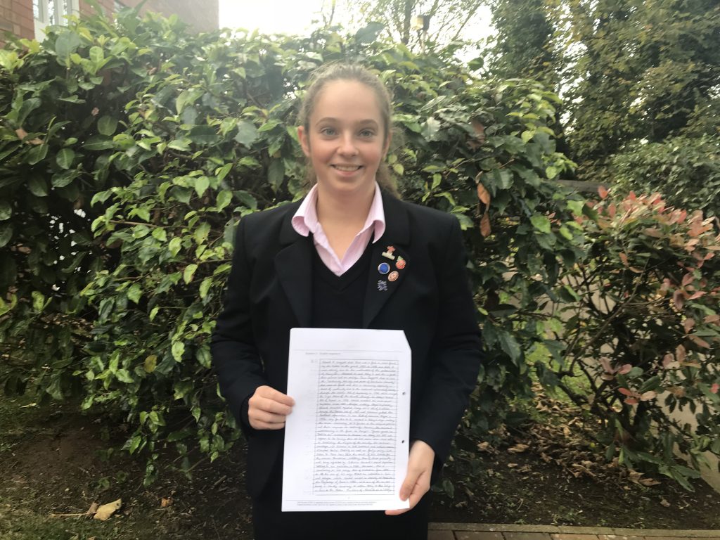 Education essay writing picture