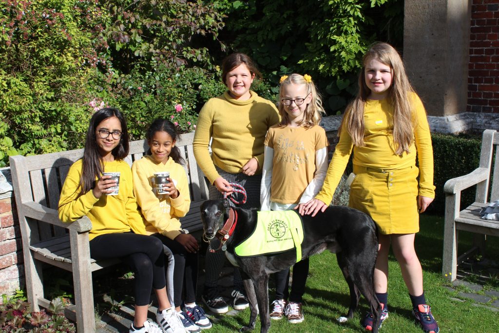 Therapy dog visits Cobham Hall on Mental Health Day