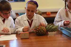 Oundle School pupils taking part in science experiments
