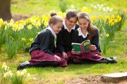 Pupils reading on the lawn
