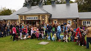 Farlington School Dog Show
