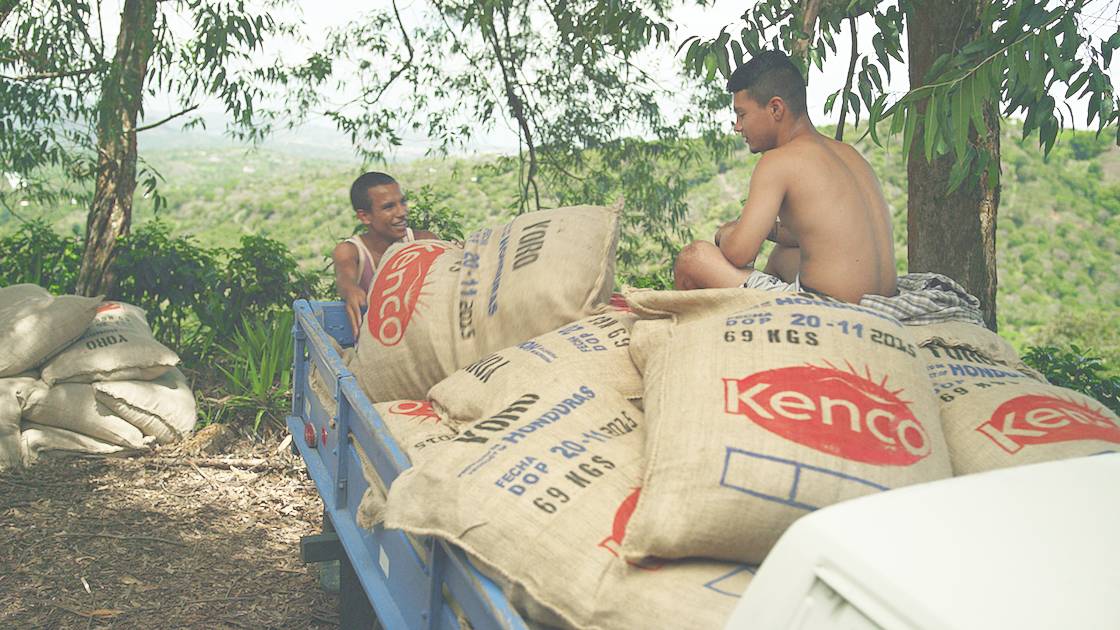 Kenco Coffee returns to TV screens
