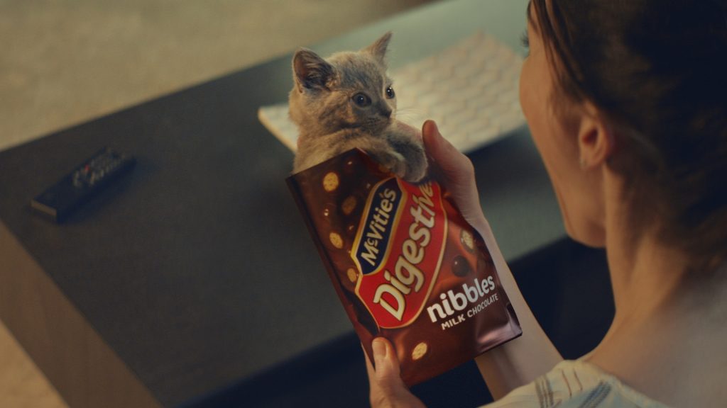 Mcvities cat hot sale