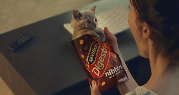 mcvities cat