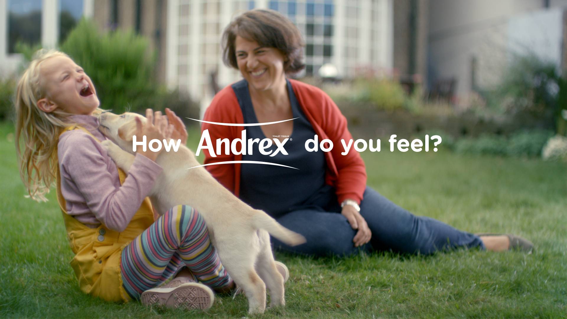 andrex toy