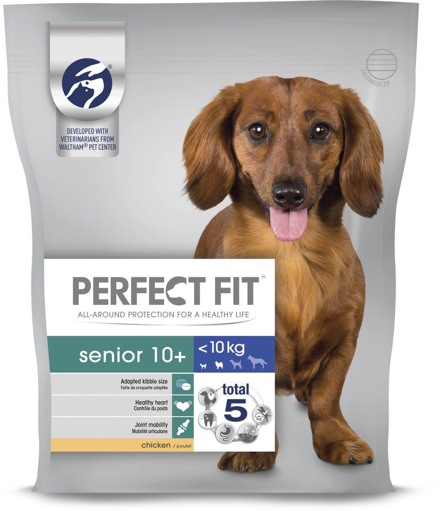 Perfect fit dog store food