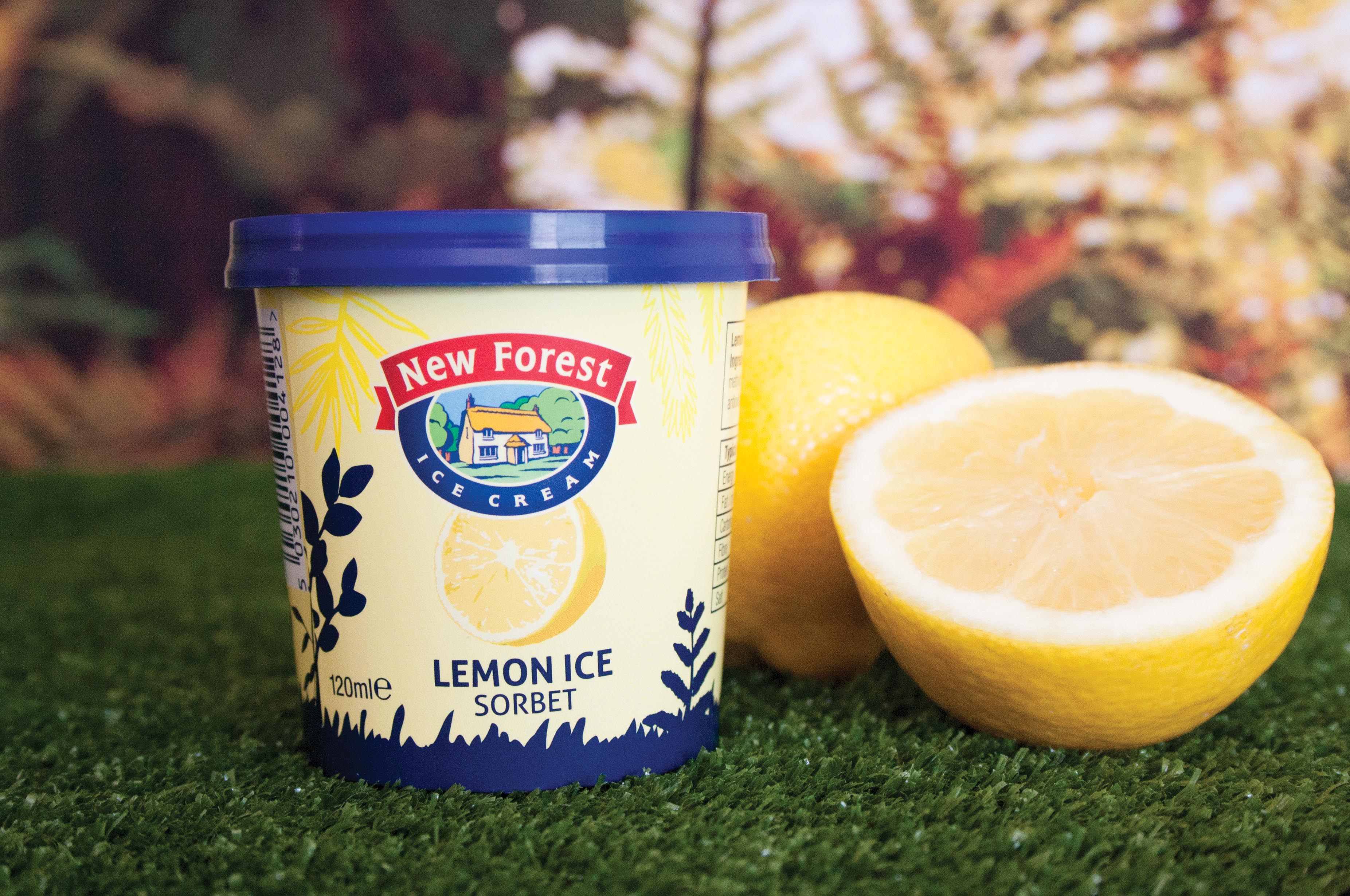 New Forest Ice Cream launches singleportion tub for sorbet flavour