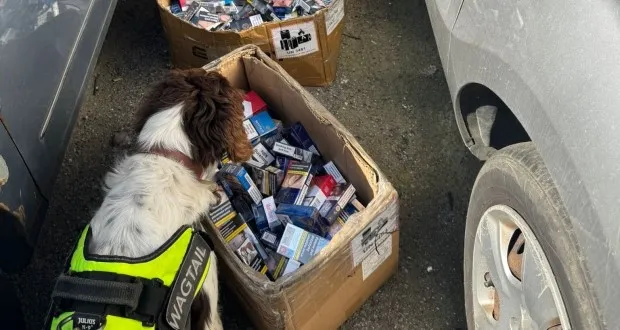 Essex store closed after twice being caught selling illegal cigarettes and  vapes