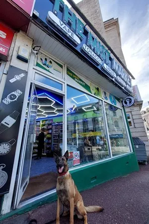 torquay vape shop Disrupting illegal tobacco and vapes in Devon and Cornwall – Your voice in  policing main image 1