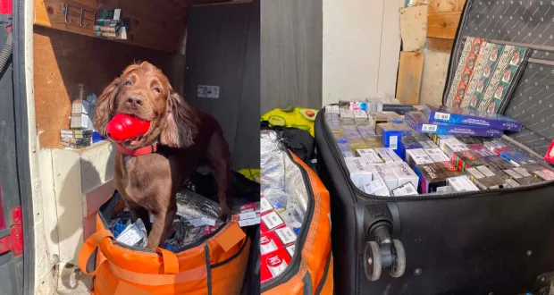 Illegal cigarettes and tobacco worth £12,500 seized from stores in Grimsby crackdown