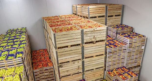 Food inflation to strengthen in 2027 as cost pressures build, IGD forecasts
